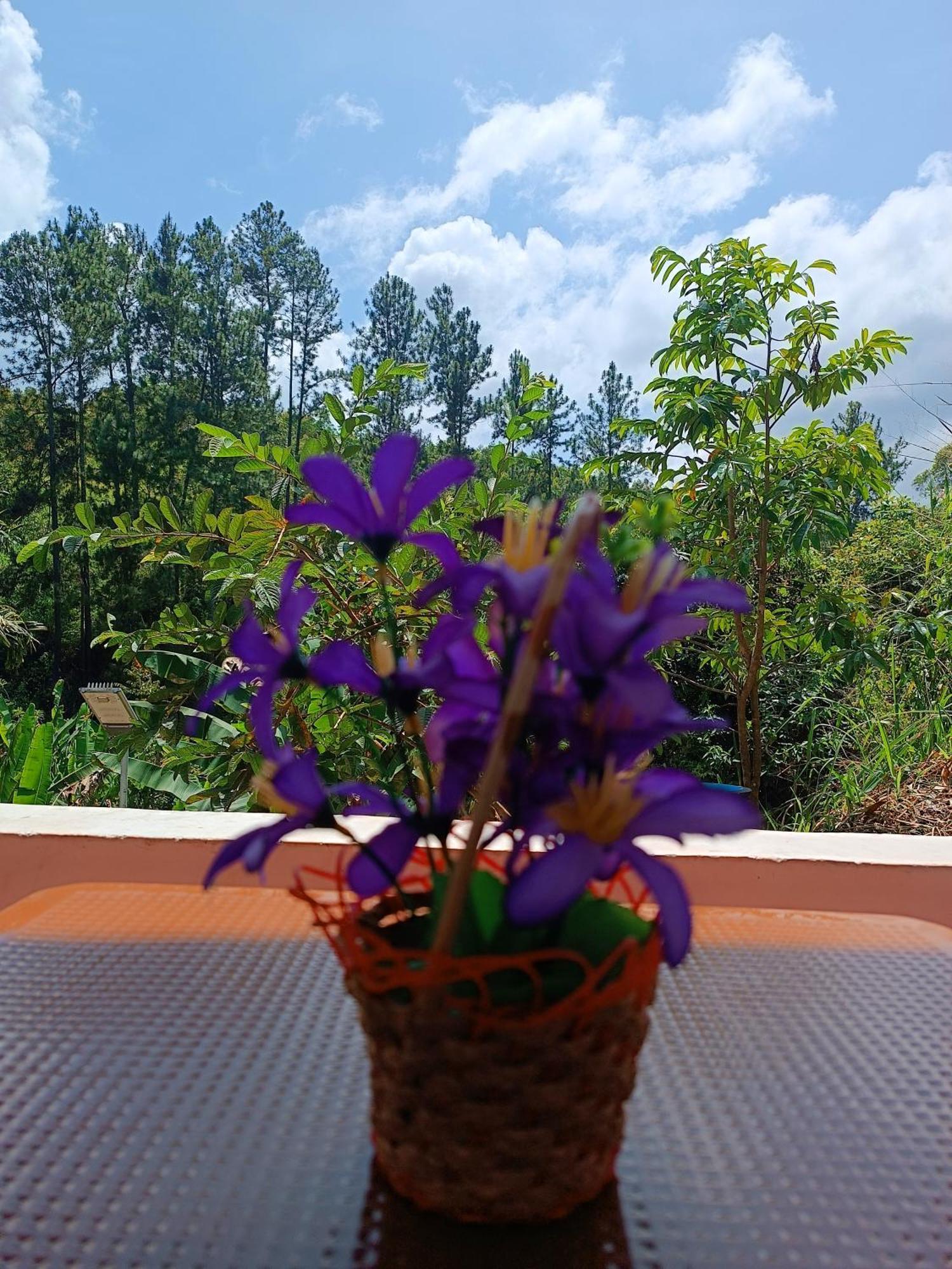 Mount Crest - Ella Hotel Luaran gambar